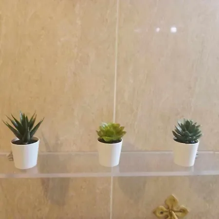 Apartmán Coqueto Estudio En Calle Vela